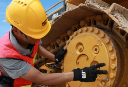 Free Cat Undercarriage Inspection